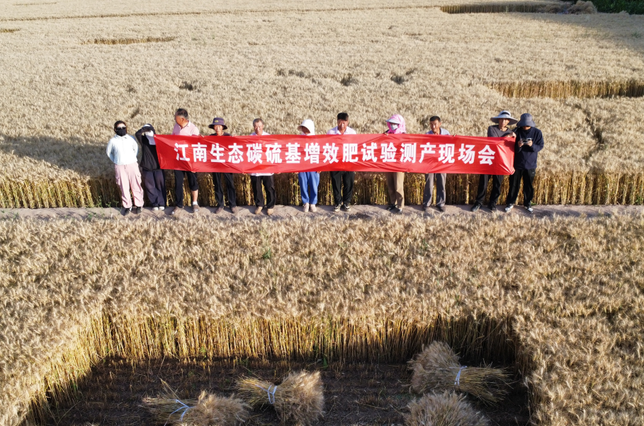 企业微信截图_17881696819136.png